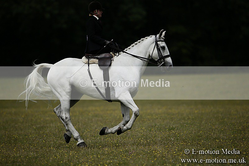 BVR160717-1589 - Side Saddle Classes 16/07/17