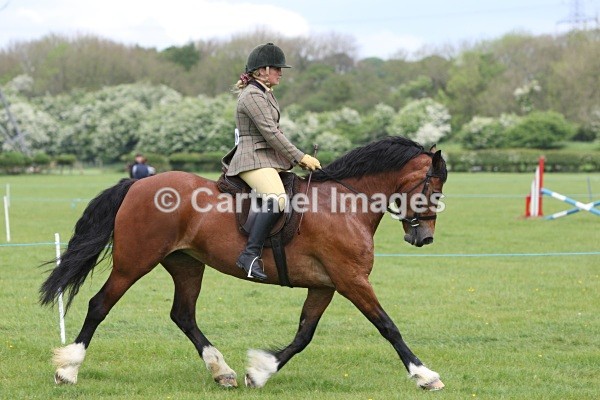 MB_M1892 - Ridden Showing