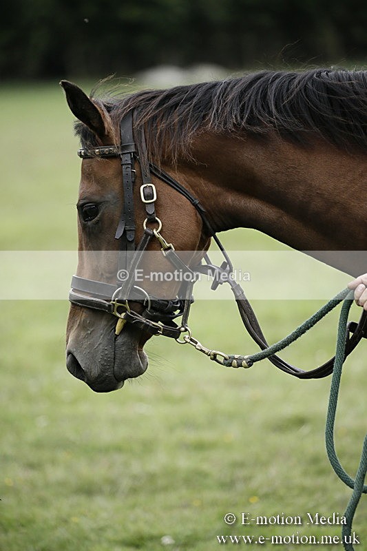 BVR090918 32 - BVRC Dressage and Show Jumping 09/09/18
