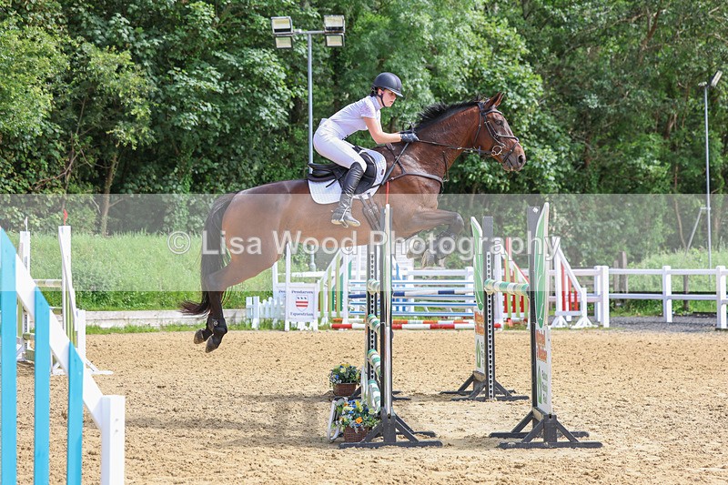 3E7A7527 - Class 9: Senior Foxhunter/1.20 open