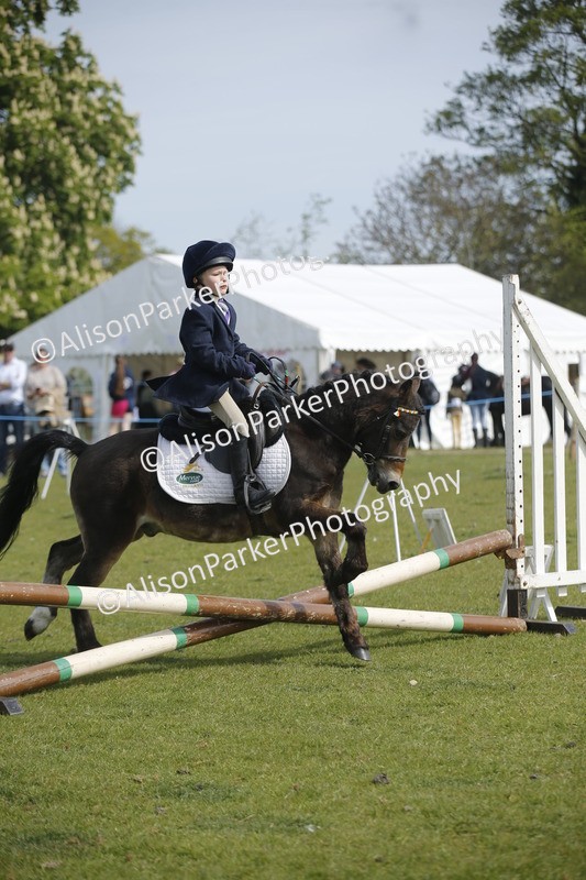 20260426-1195 - Class 2 - Mini Jumping