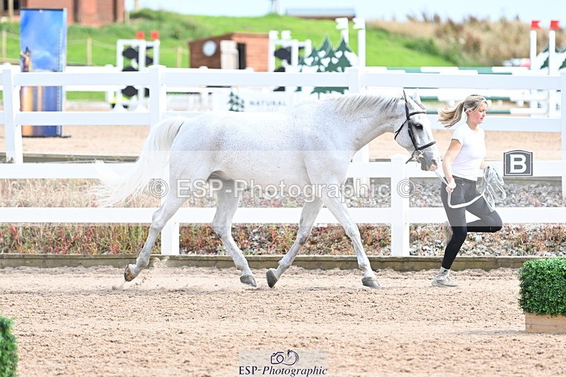 240717A-163745-03459 - Trot Up 4pm to 5pm