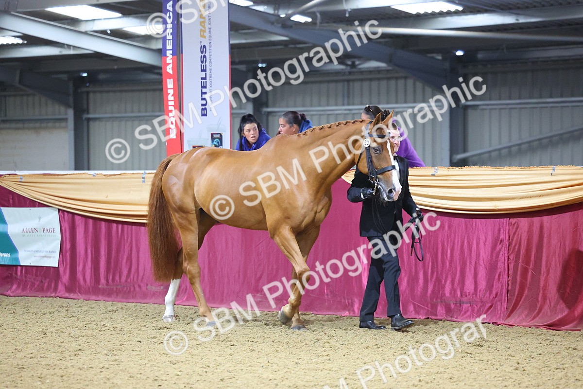 SBM_20760 - Class 902 - Supreme Final IH Veteran