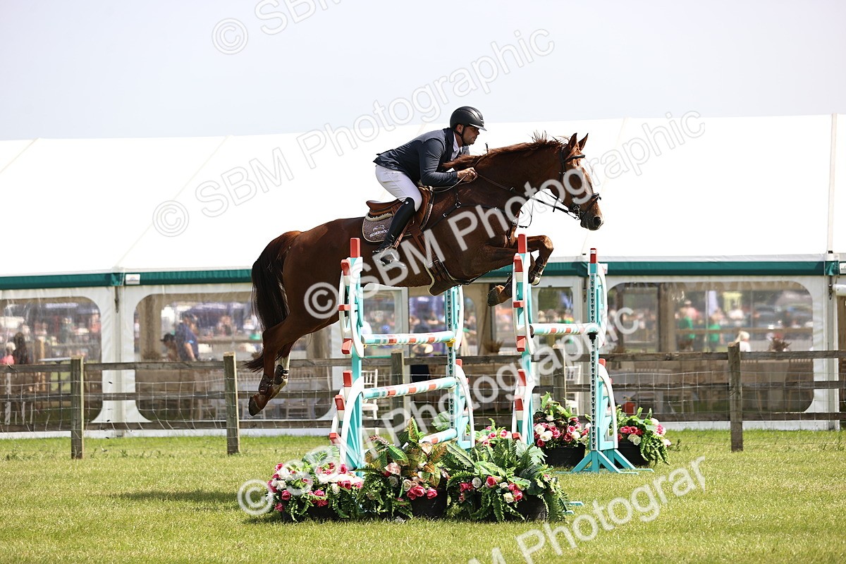 SBM_03299 - Class 201 - British Horse Feedds Speedi Beet HOYS Grade C