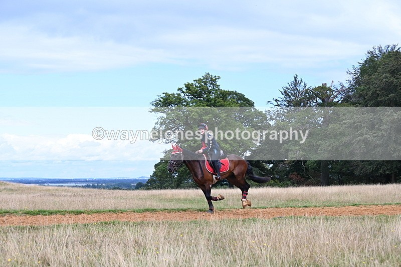 DSC_8912 - Time at Statue 14:33 to 15:10