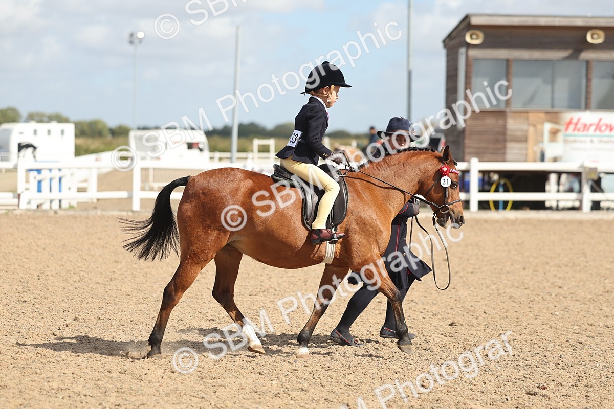SBM_23143 - Class 806 - Young Rider 10ry and Under