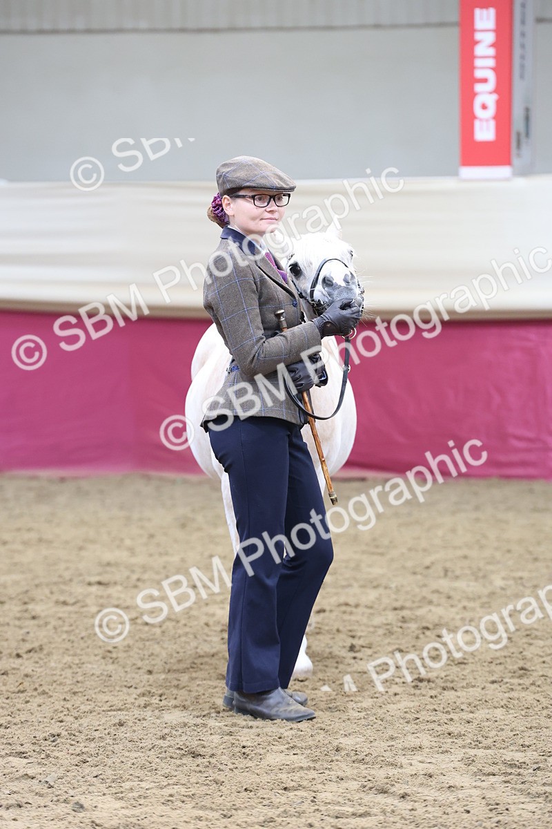 SBM_21889 - Class 901 - Supreme Final - IH  Diamond