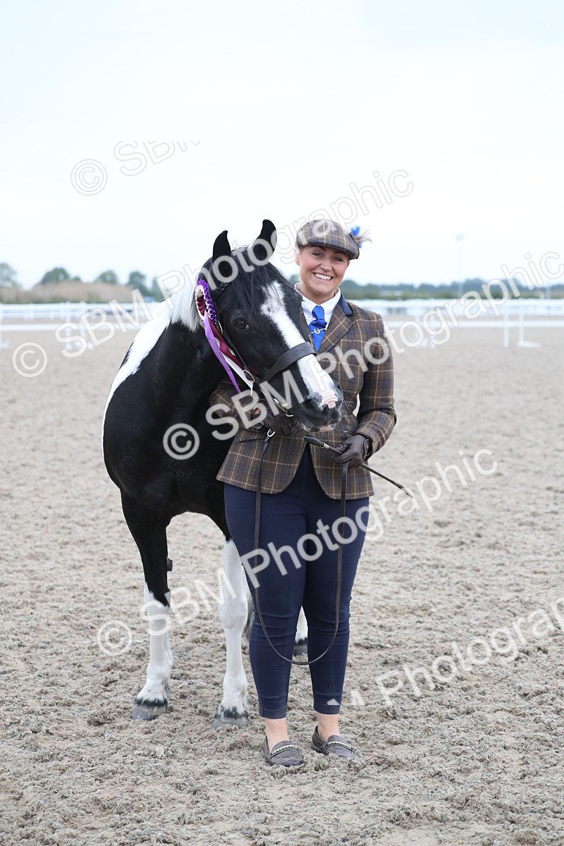 SBM_18425 - Class 318 IH Part bred Horse/Pony