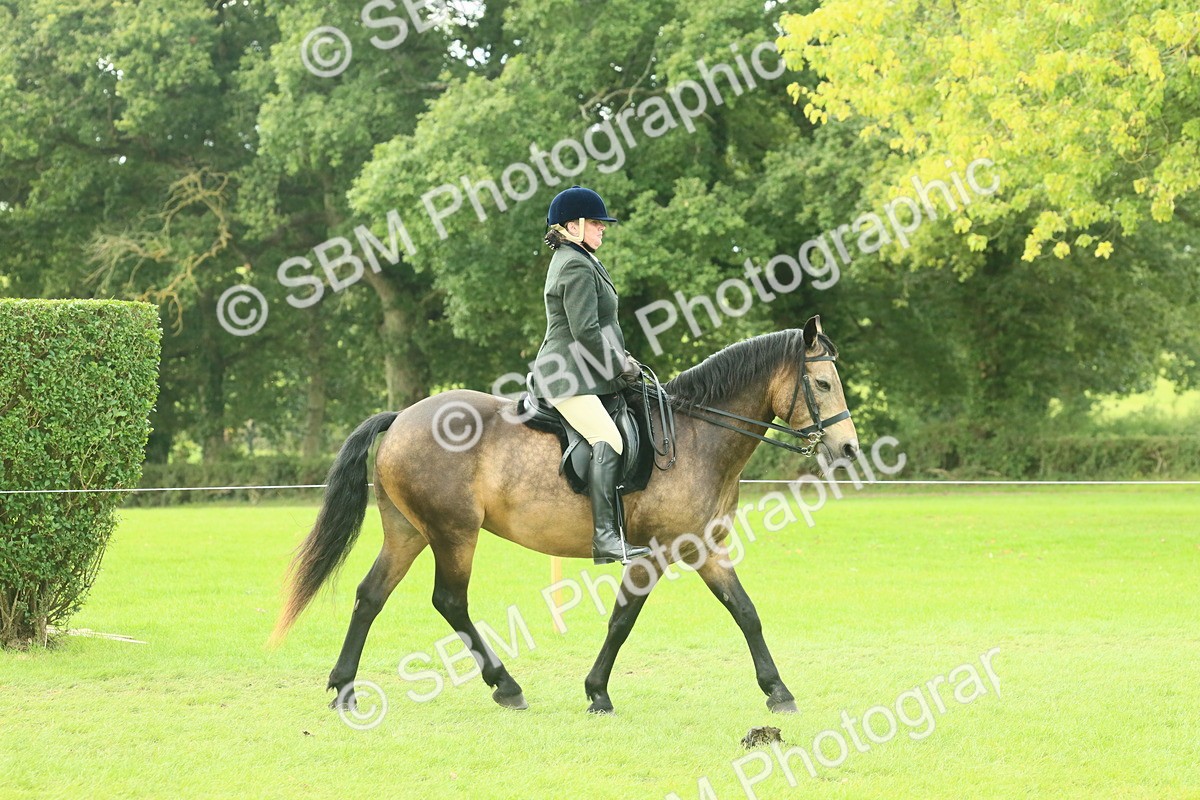 SBM_62578 - S63 - Other Coloured Horse Ridden