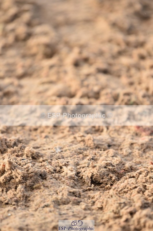 231028A-102316-00399 - Cls 1 Pony 70cm