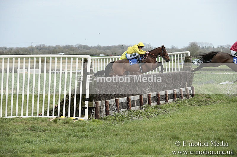 PtP 230319 39 - VWH Hunt Siddington Point-to-Point Racing 23/03/19