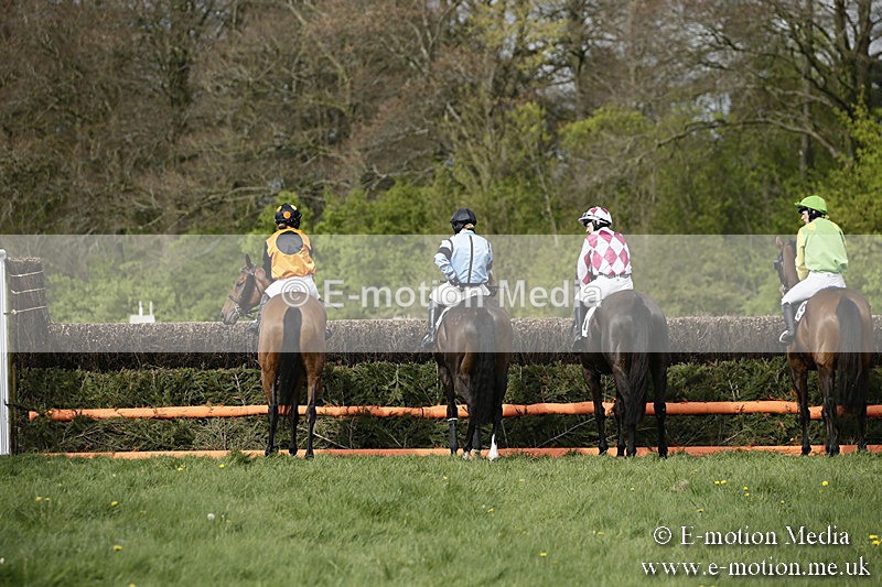 PtP 170417 266 - Old Berks Point-to-Point Lockinge 17/04/17