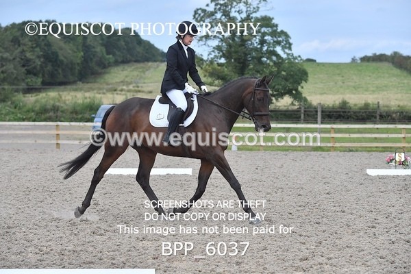 BPP_6037 - NOVICE TEST 4 + 6 LONG ARENA