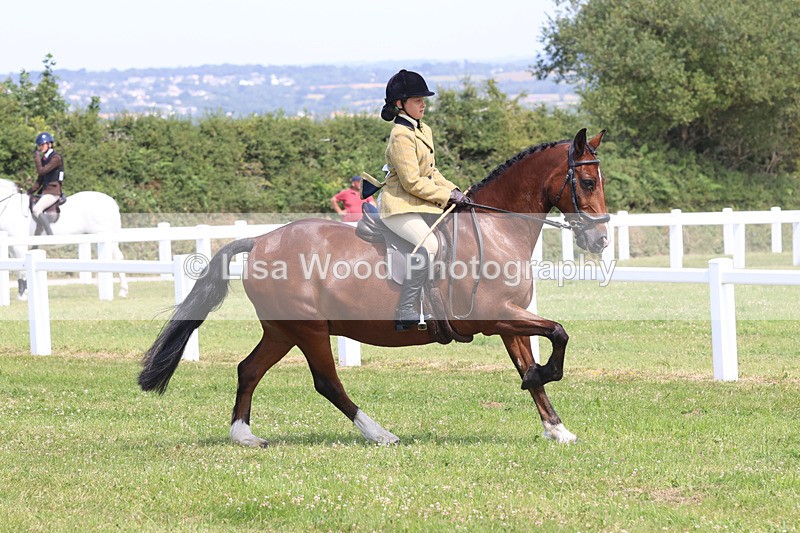 JPP_3240 - Class 22: Working Hunter 70cm