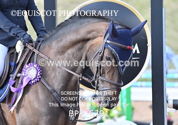 BPP_6391 - CLASS 11 THURS GFS Saddles Senior Newcomers/1.10m Open