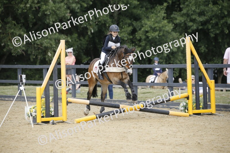 20250622-3893 - 50cm