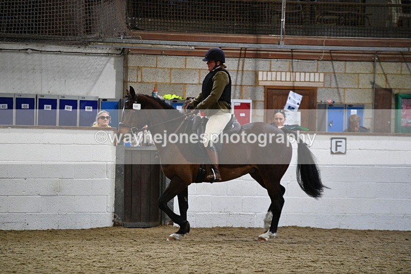 WJ5_7946 - Class 13 Ridden Part Breed