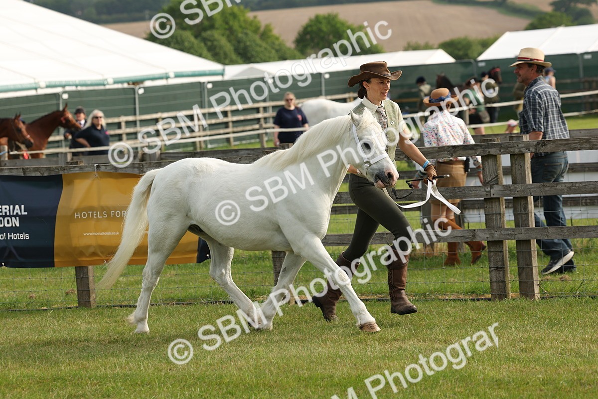 SBM_00506 - Class 6-13 - Mountatin and Moorland In Hand Welsh Breeds