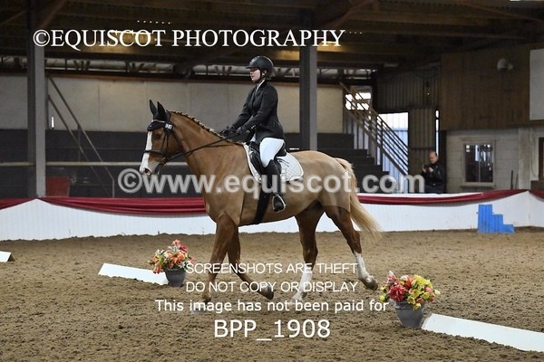 BPP_1908 - INTRO TEST 3