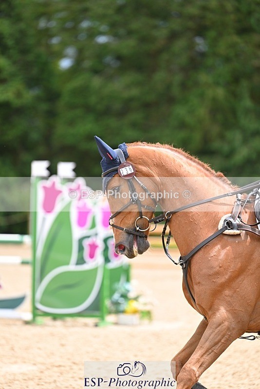 240526-141651-24512 - 236-RUBIN_MOON_SB-Gemma_Watts