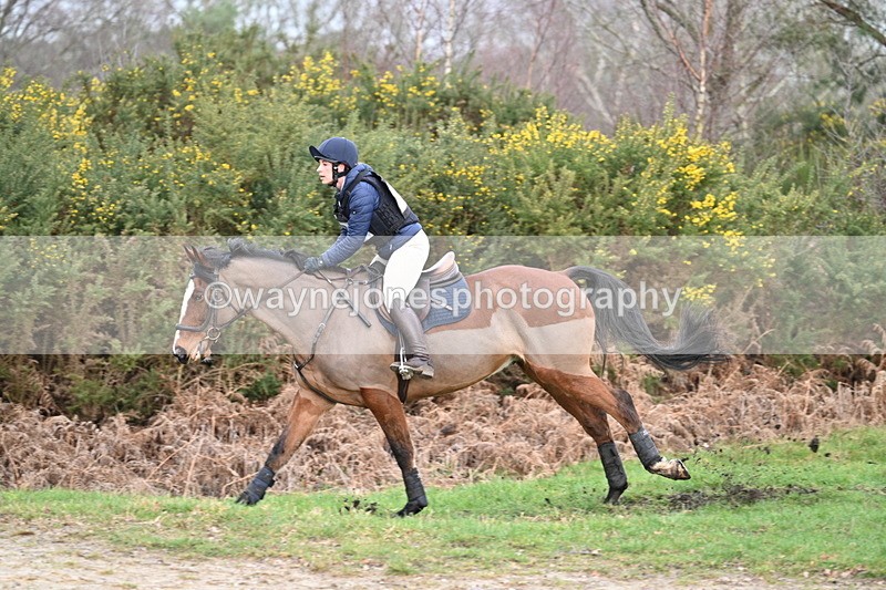 WJ7_8310 - Time 11:09 to 11:38