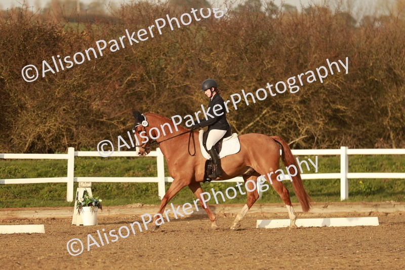 20260314-6474 - CT7 - Elementary 2