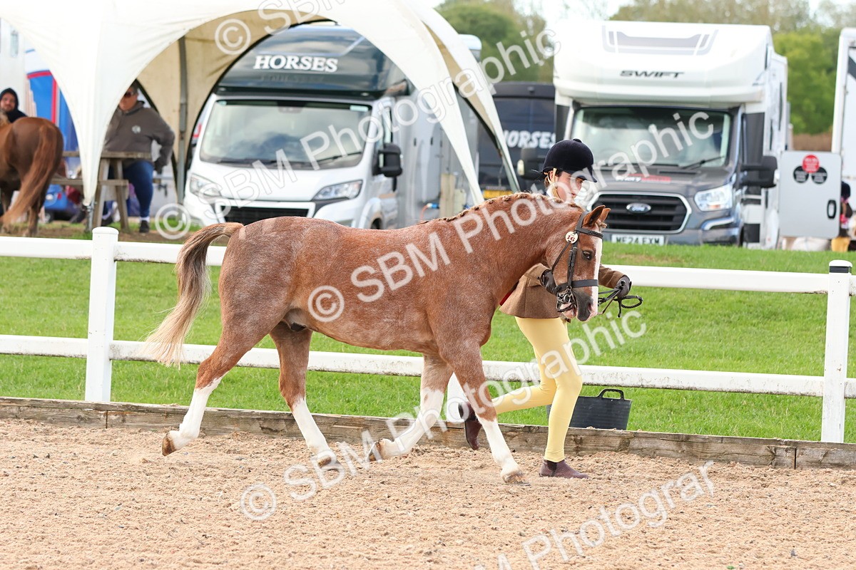 SBM_09195 - Class 204 - Young Handler