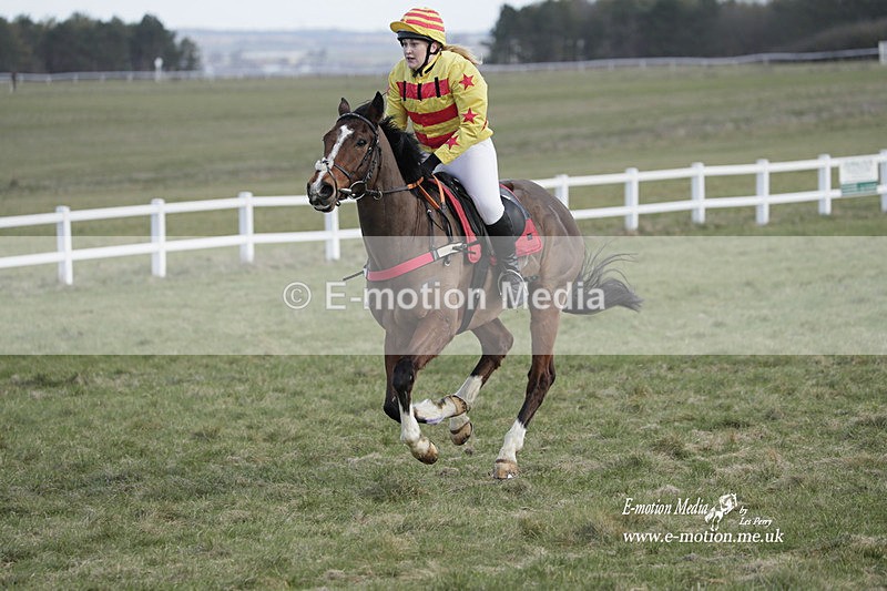 PtP 260223 116 - South & West Wilts Point-to-Point Larkhill 26/02/23