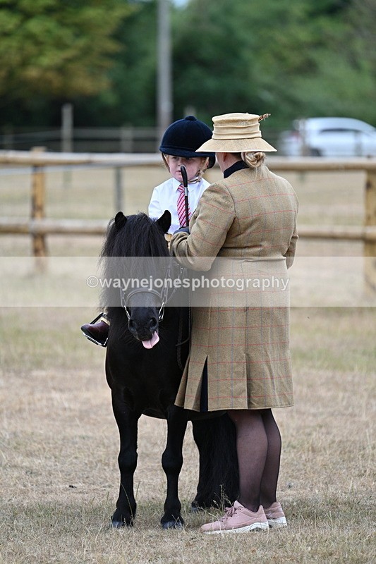 WJ7_8200 - Class 4 Prettiest Mare up to 14.2hh