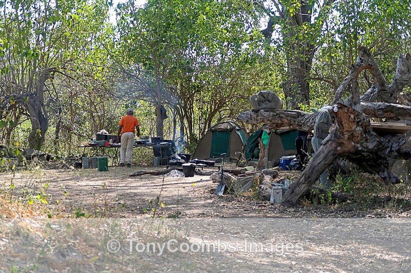Camp ~ The Kitchen - Botswana ~ Various Other