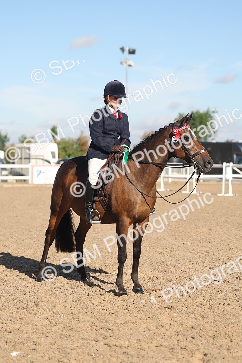 SBM_12259 - Class 303 - Ridden Pure Bred Horse Pony