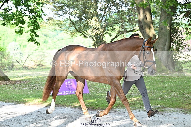 250521A-164153-01287 - C-254-Alexander.Bragg-SHANNONDALE.ARVA