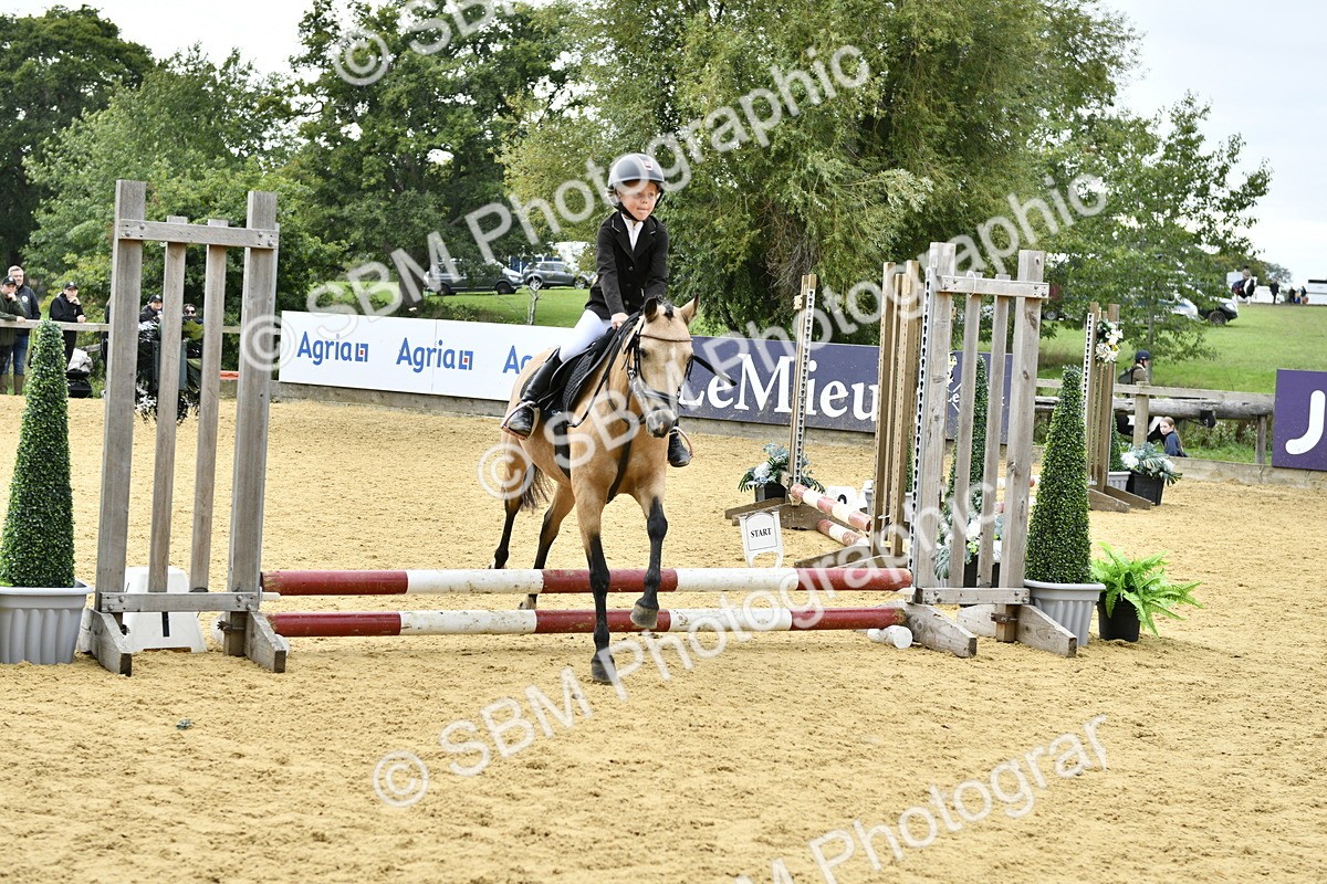 SBM_65524 - J2a mini Tour Junior Pony 30cm Championship