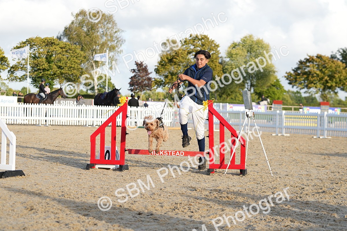 SBM_29442 - J44 - Horse & Hound Open 70cm