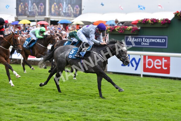 yr23072022r6-36 - Race 6 5.00pm Sky Bet Partnership with Support Dogs Stakes