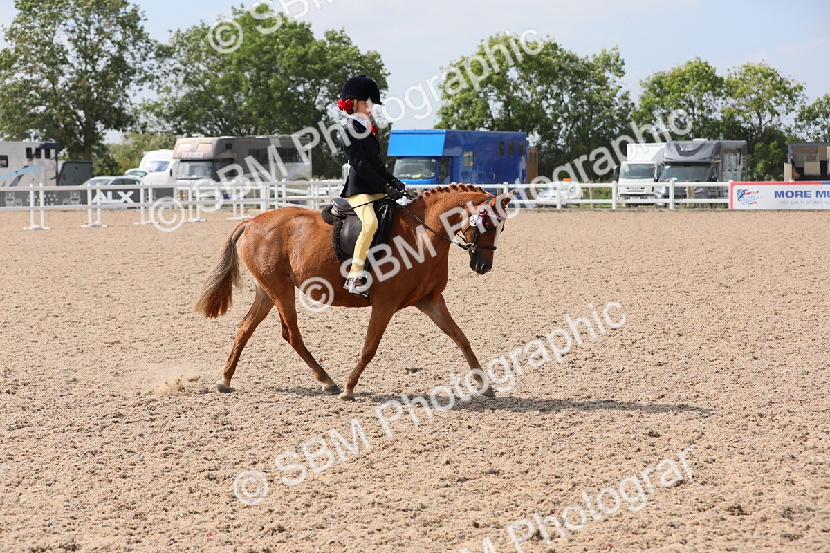 SBM_14701 - Class 310 First Ridden Pony