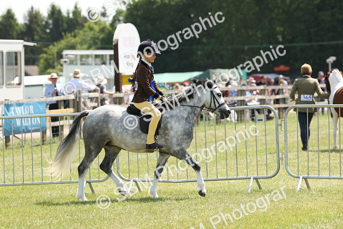 SBM_05394 - Class 24-25 - Mountain & Moorland In Hand Lead Rein and First Ridden