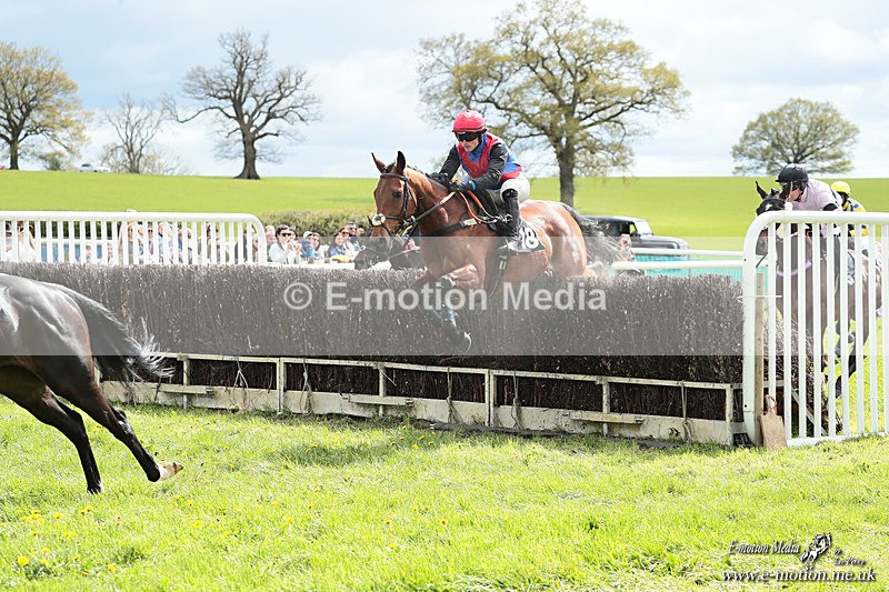PtP 180426 284 - Worcestershire Hunt PtP Chaddesley Corbett 18/04/26