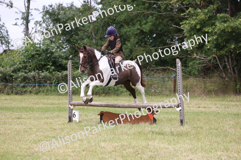 20260614-3050 - Class 22 - Open Working Hunter