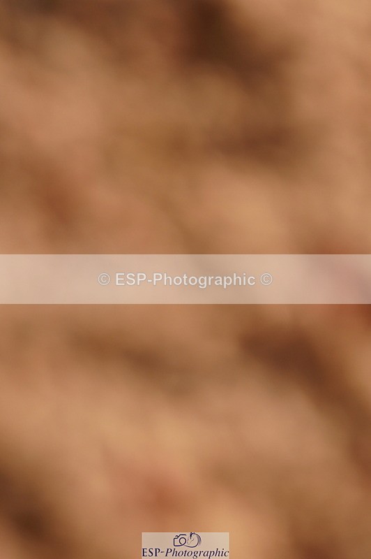 240628A-181626-00701 - Cls 3 1m Open