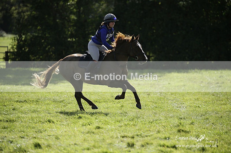  WWHT 031021 1538 - Open Novice (0.80m) 03/10/21