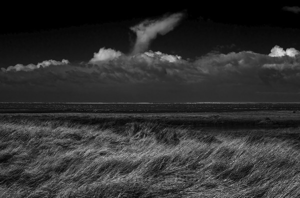  - Black and White