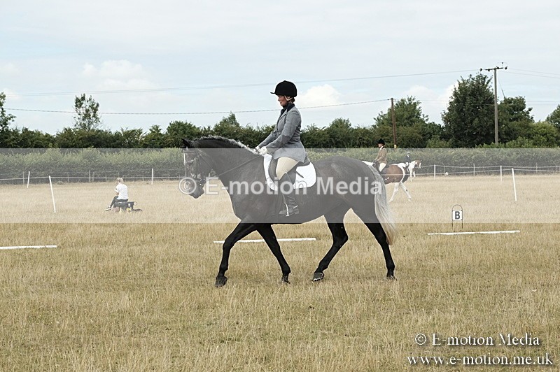 _PJP5752 - Dressage Classes BVRC Show 2018