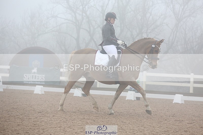 240217A-125611-02987 - 103-Ruth.Saunders-Dizzy.Rascal.VII