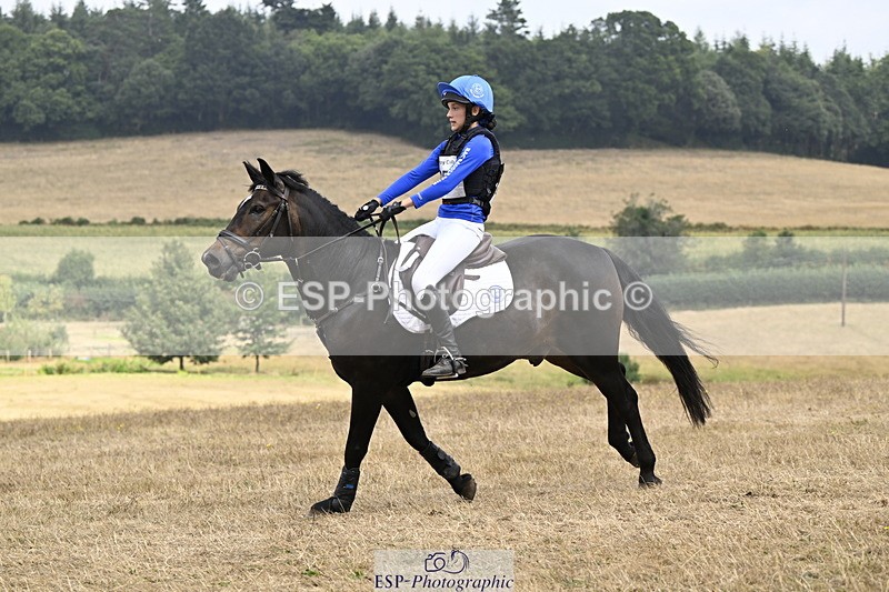 250824A-125824-36583 - 2053-Ava.Sampson-Chameleon