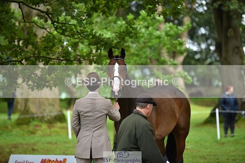 240522-170316-01351 - 235-GREENHALL_JAY-Henry_Hobby