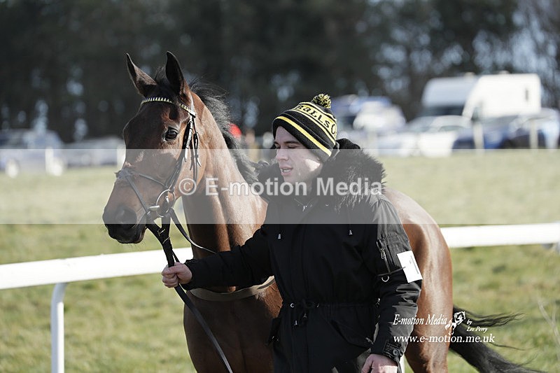 PtP 260223 978 - South & West Wilts Point-to-Point Larkhill 26/02/23
