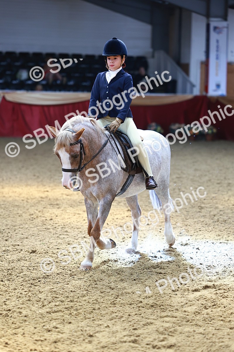 SBM_23938 - Class 905 - Supreme Final - Ridden Veteran