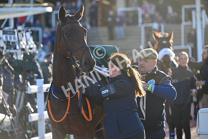 251025-Race 6-Sporting Glory-9654 - Race 6