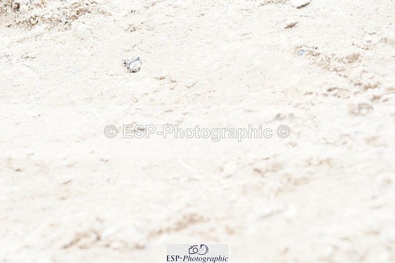 250420A-114034-00603 - Cls 03 80cm